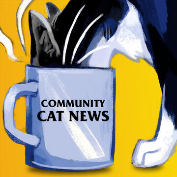 Promo announcer Community Cat News